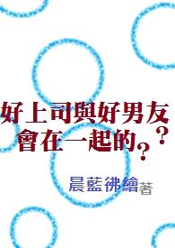 好上司与好男友？会在一起的？封面